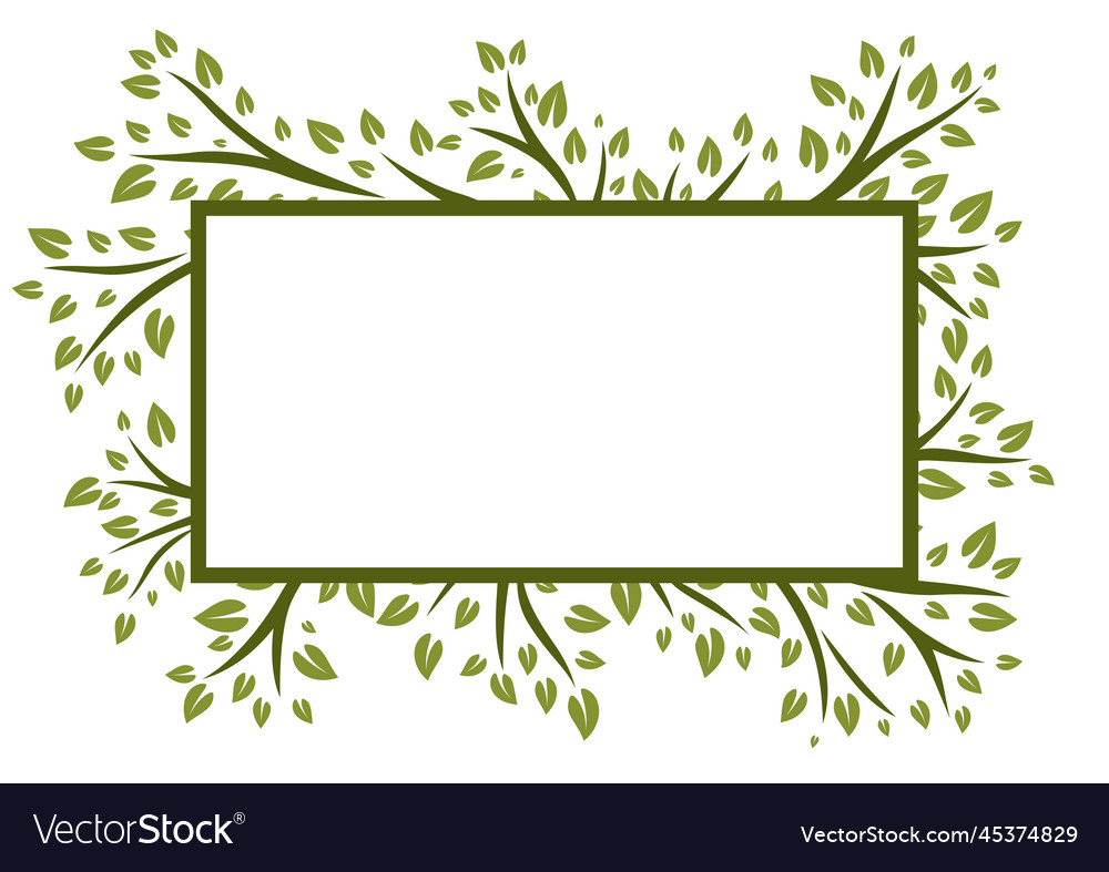 Background of sprigs with green leaves decorative