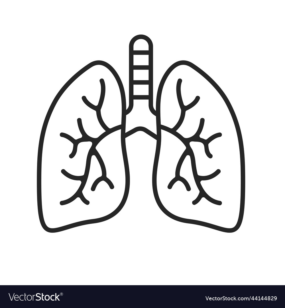 Lung icon lungs help to breathe oxygen Royalty Free Vector