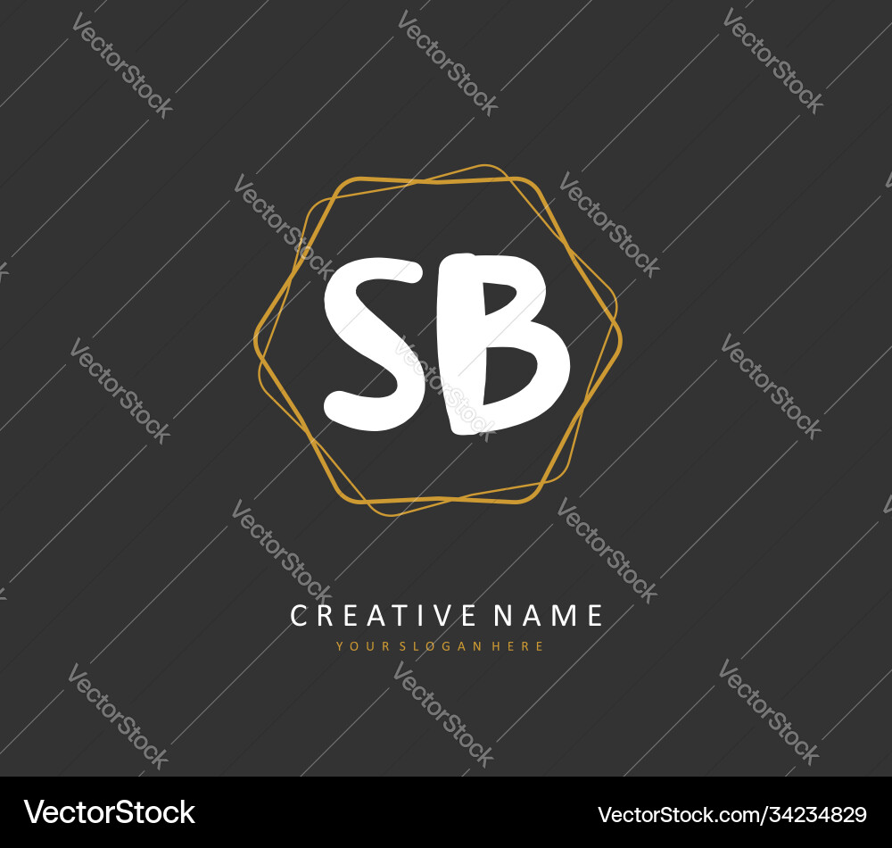 S b sb initial letter handwriting and signature Vector Image