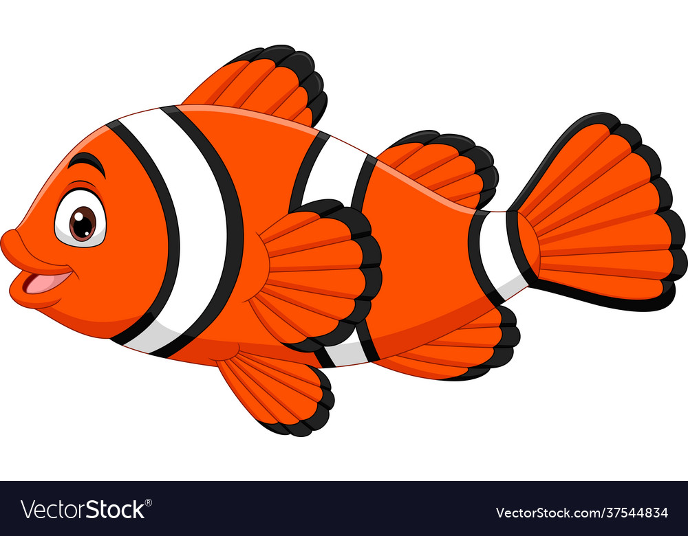 Cute clown fish cartoon on white background Vector Image