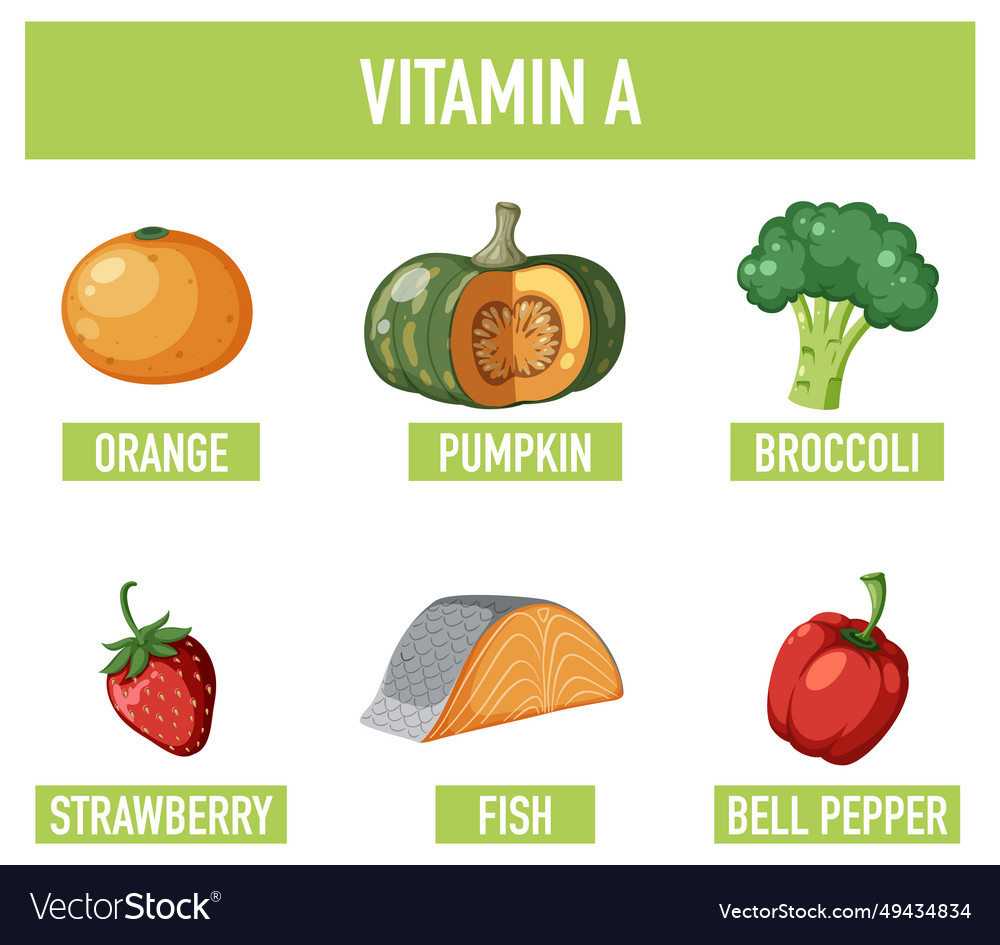 Group Of Vitamin A-rich Foods Royalty Free Vector Image