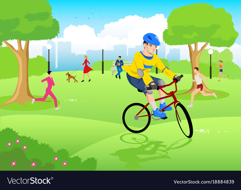 Boy riding bicycle at city park Royalty Free Vector Image