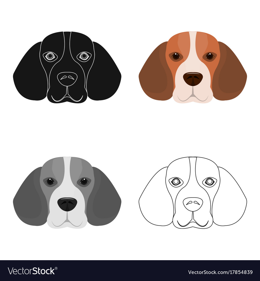 Breed dog beaglemuzzle beagle single icon