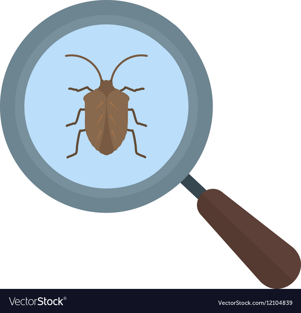 detect bugs