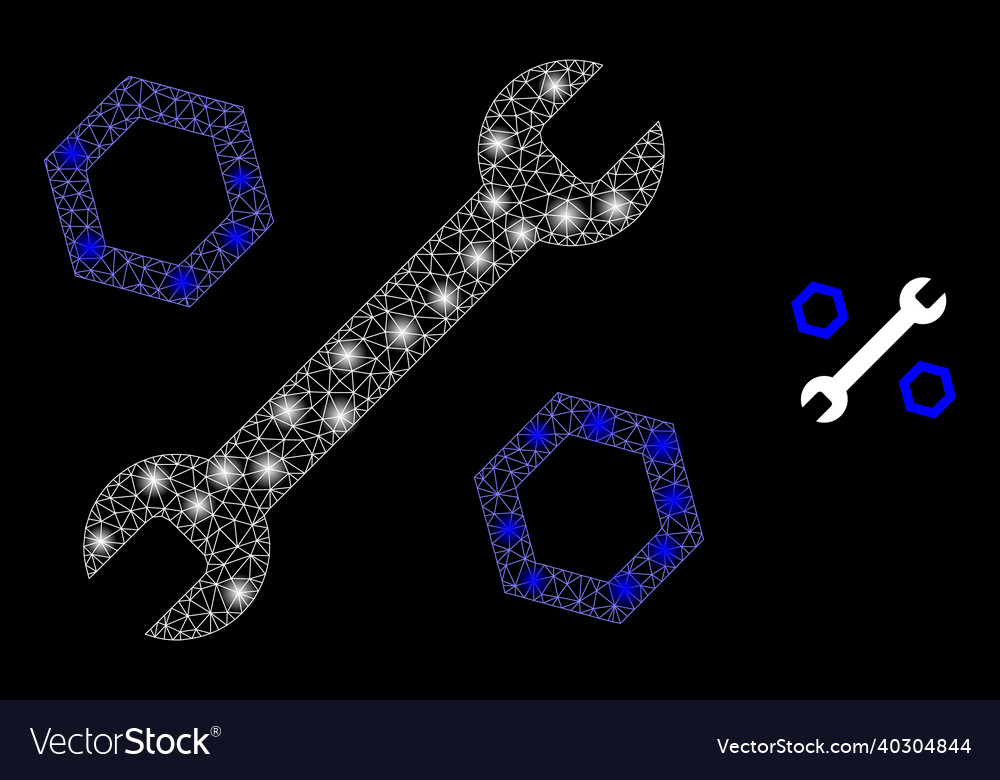 Mesh net wrench and nuts with shiny network vector image Mesh net wrench and nuts with shiny network