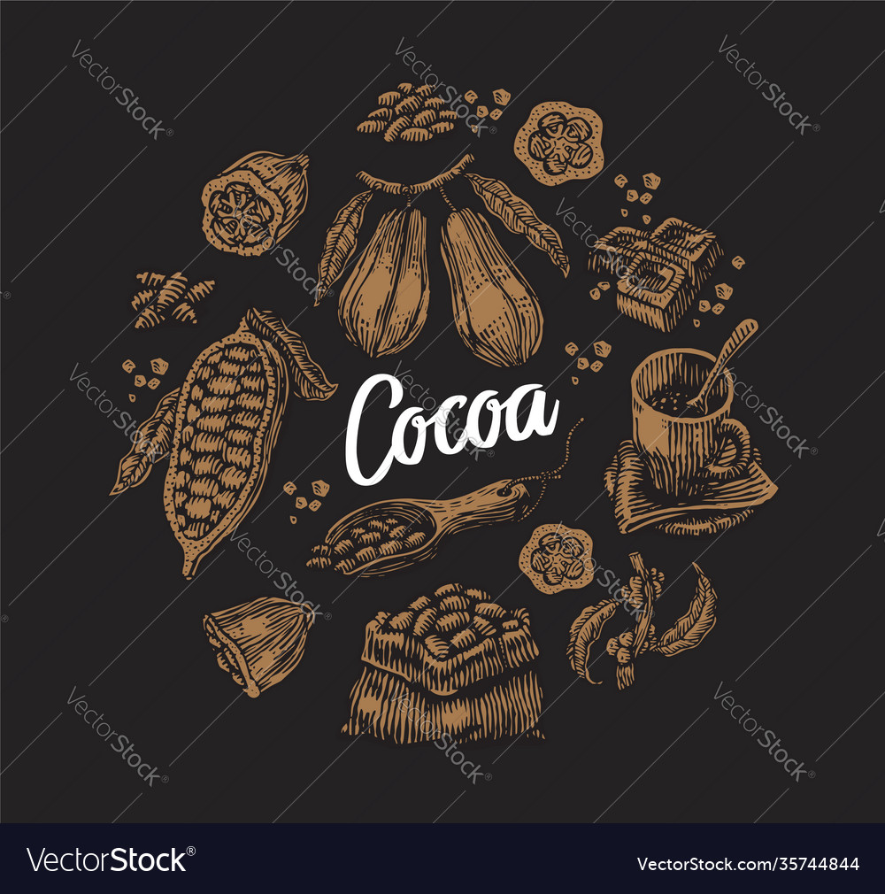 Set cocoa elements vector image Set cocoa elements