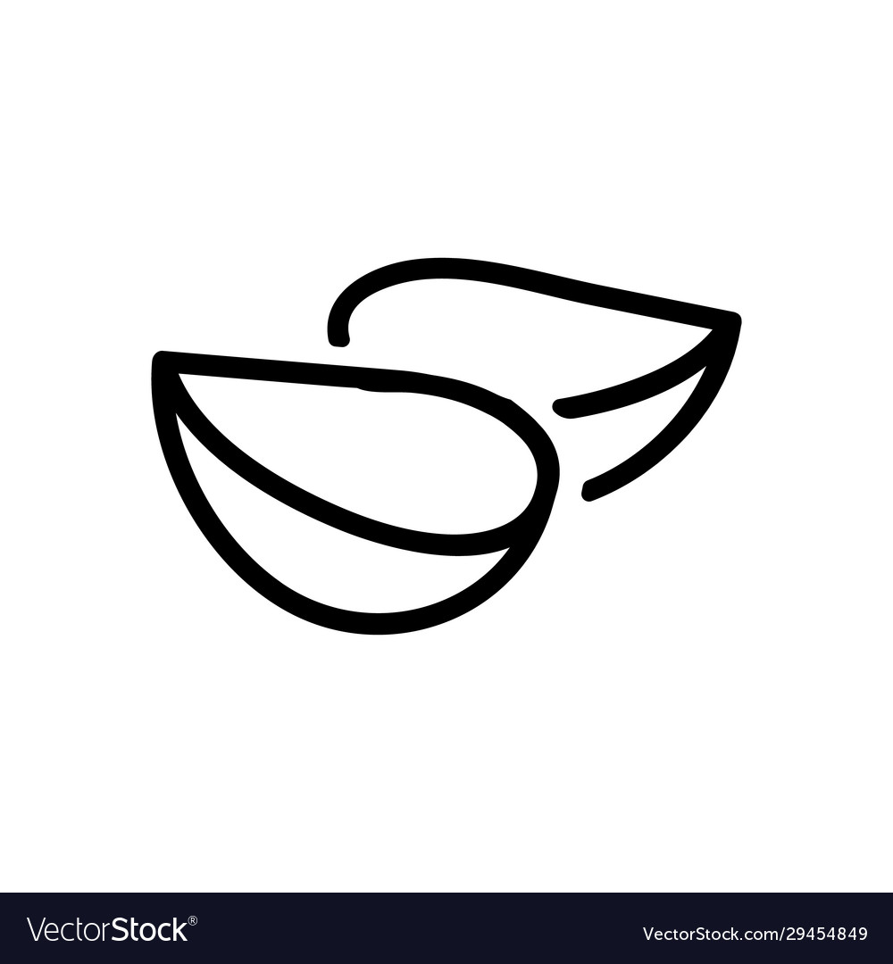 Garlic icon isolated contour symbol Royalty Free Vector