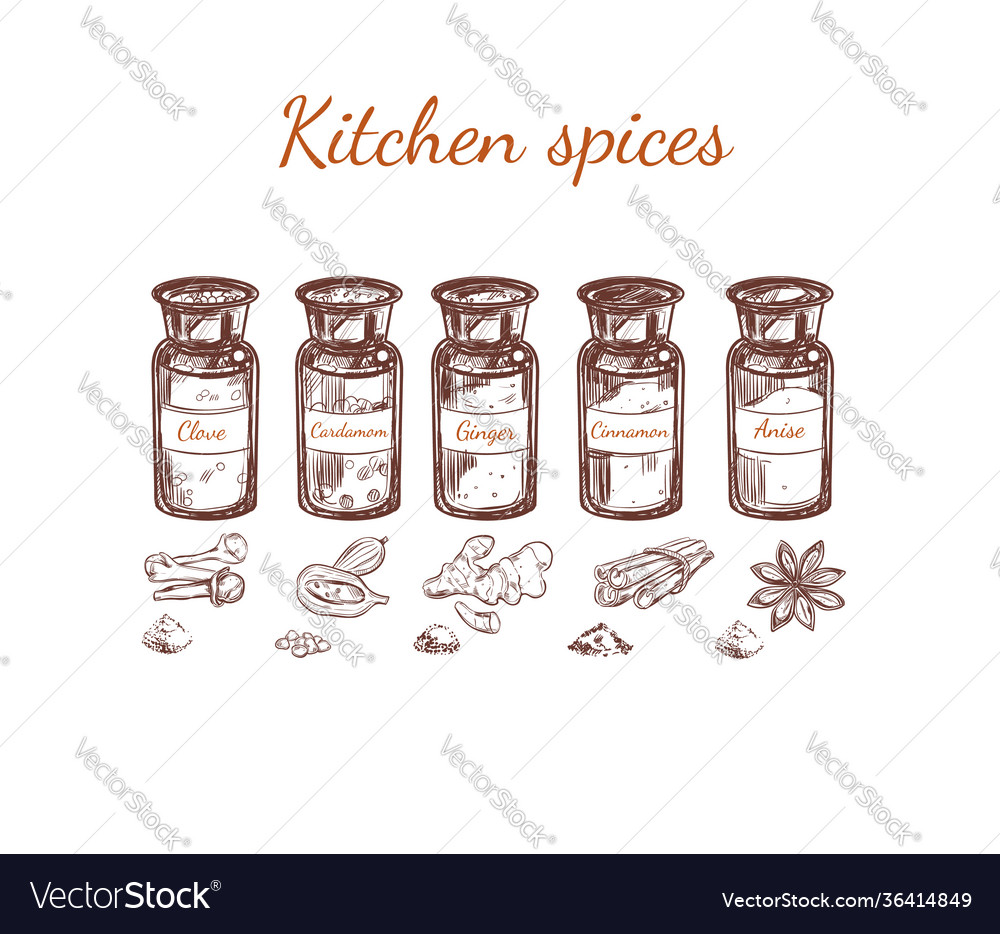 Hand drawn kitchen spices set