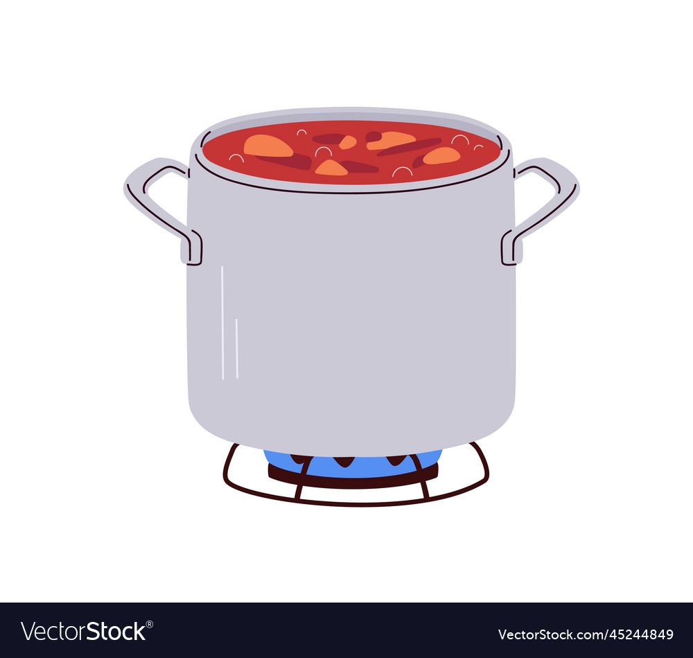 Saucepan on gas stove open sauce pan with boiling Vector Image