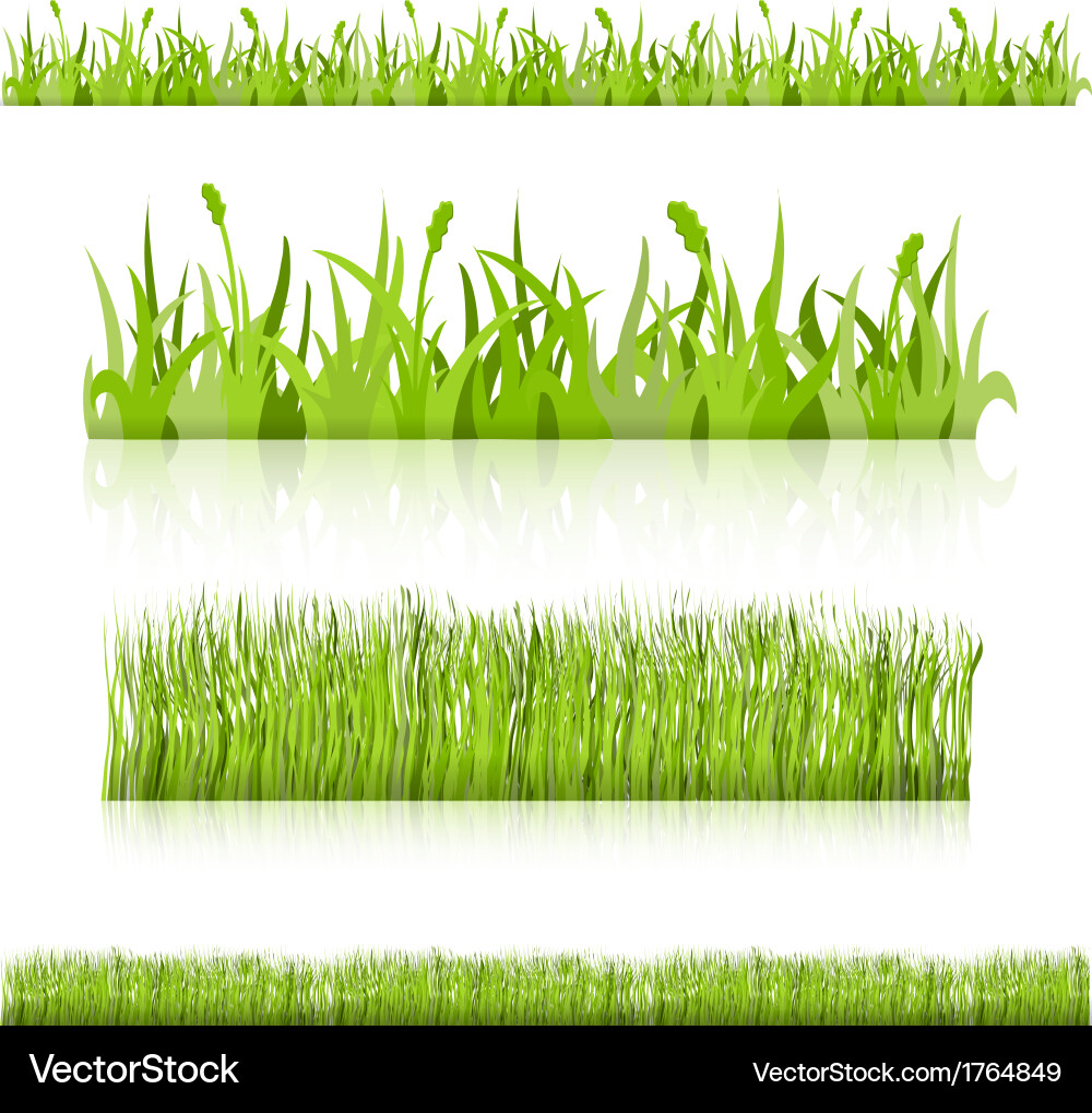 Set grass image Royalty Free Vector Image - VectorStock