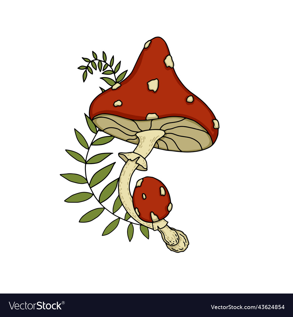 Mushroom Royalty Free Vector Image - VectorStock