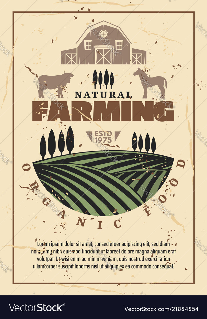 Organic farm agriculture retro poster Royalty Free Vector