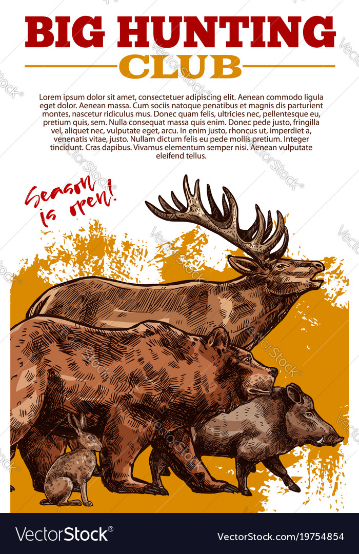 sketch poster of hunting club wild animals vector image