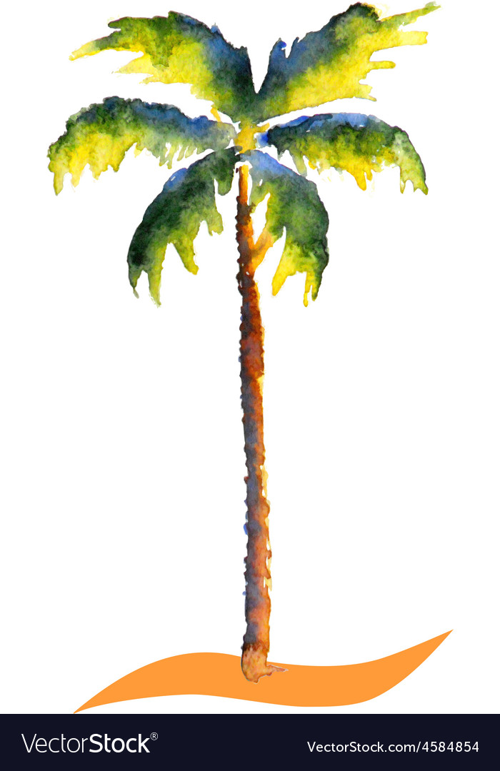 palm tree watercolor