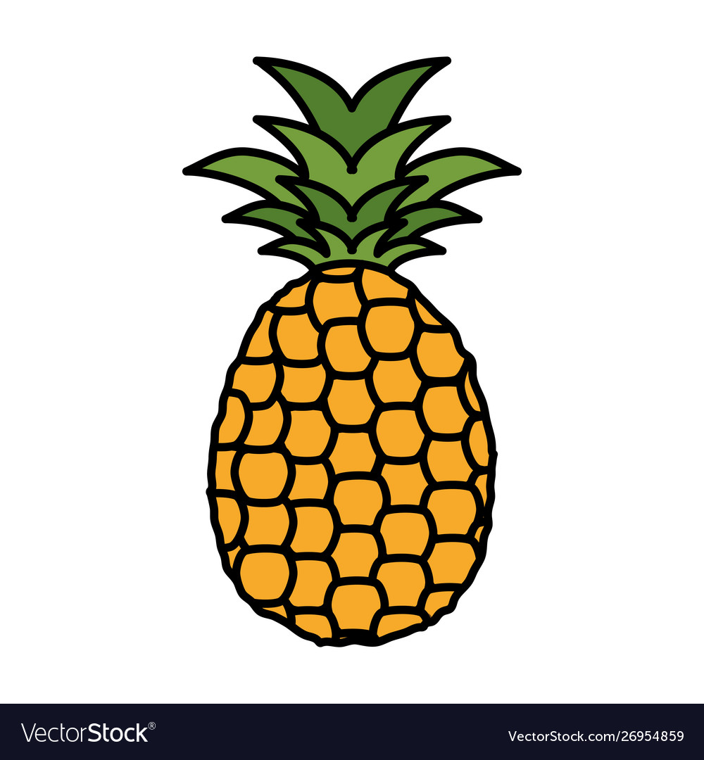 Fresh pineapple fruit nature icon