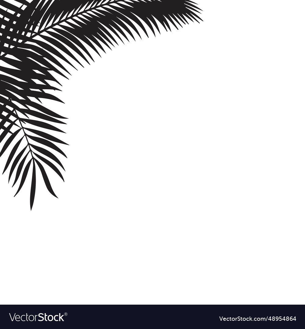 Black leaves of palm tree Royalty Free Vector Image