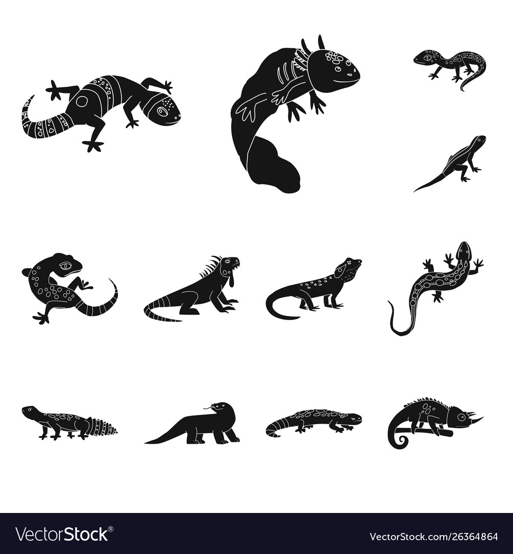 Design zoo and environment icon set vector image Design zoo and environment icon set