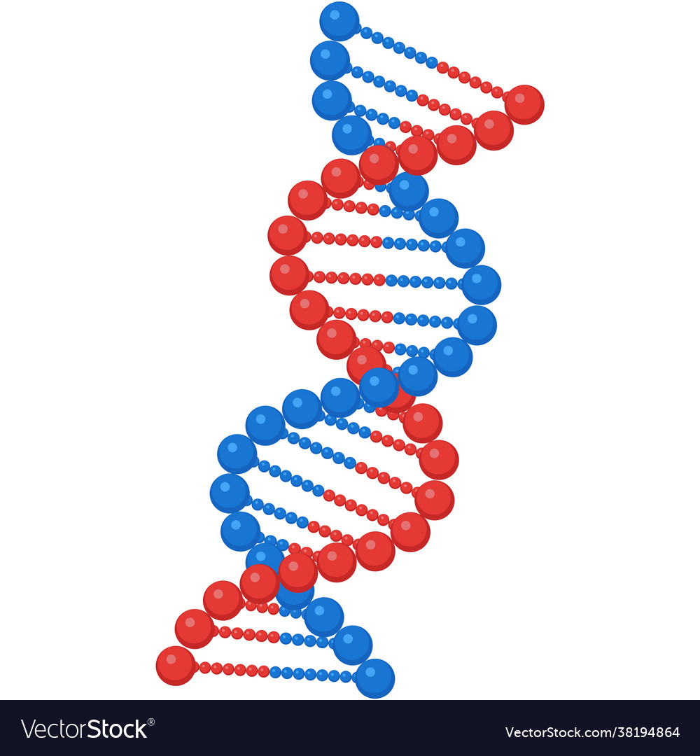 Dna genetic helix gene molecule structure Vector Image