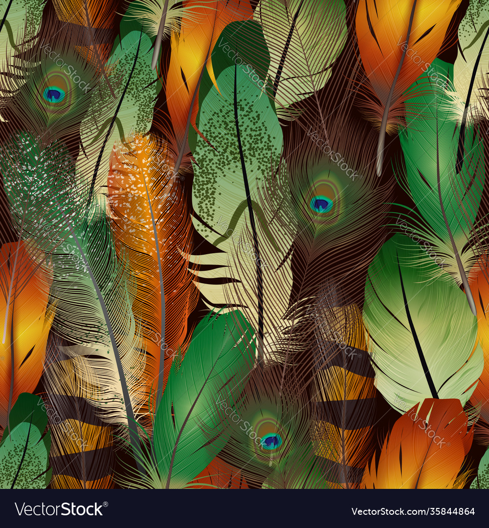 Feathers realistic pattern vector image Feathers realistic pattern