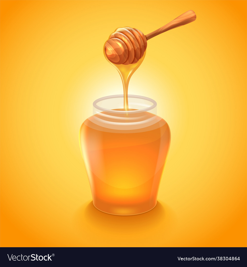 Glass jar honey with wooden honey dipper Vector Image