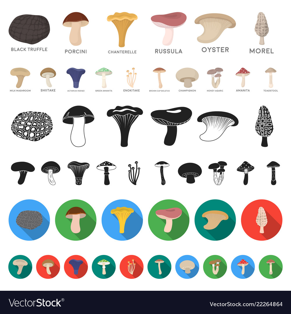 Poisonous and edible mushroom cartoon icons in set