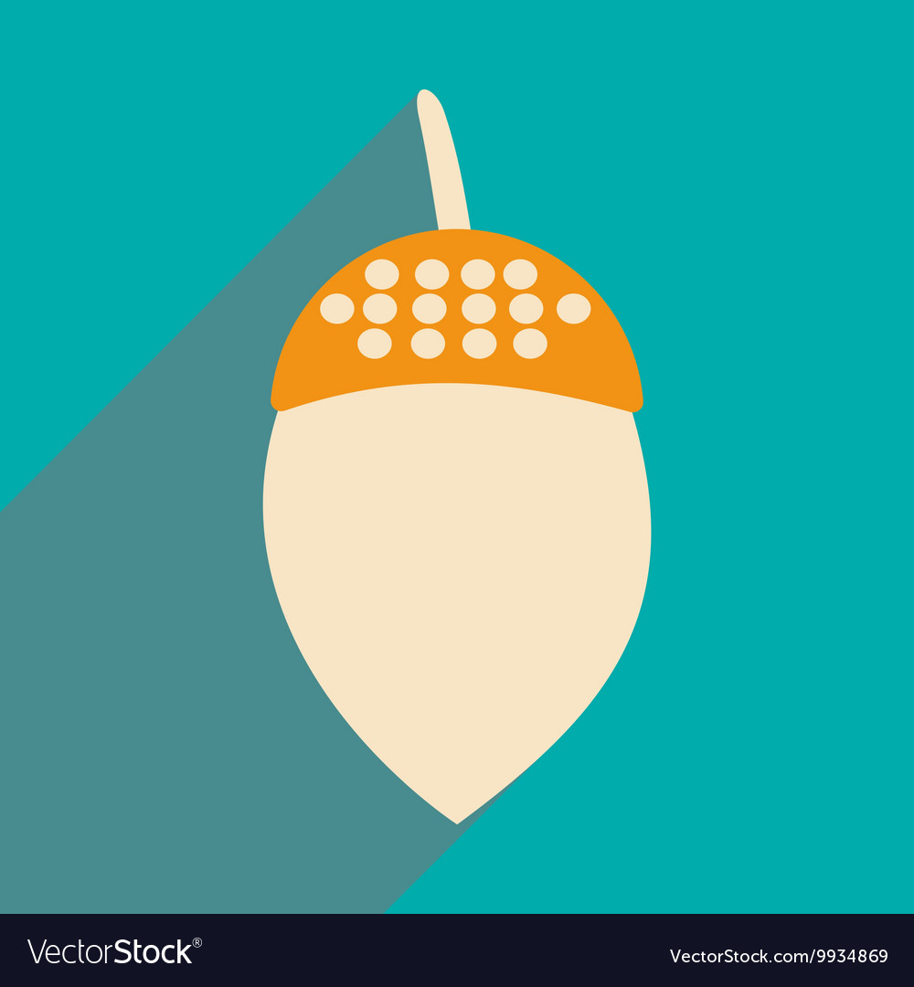 Flat with shadow icon and mobile application acorn
