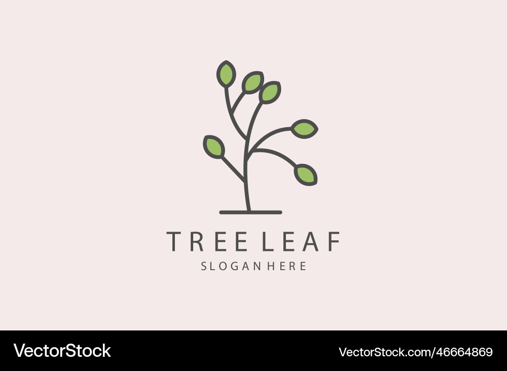 Tree leaf Royalty Free Vector Image - VectorStock