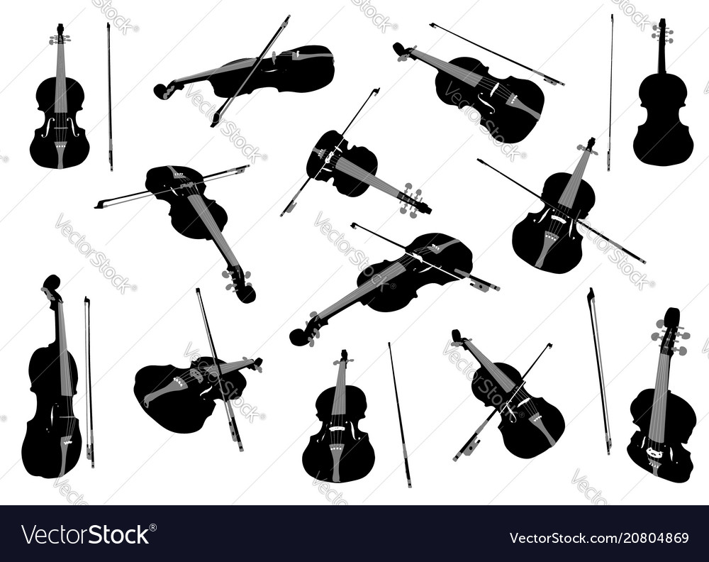 Violin set Royalty Free Vector Image - VectorStock