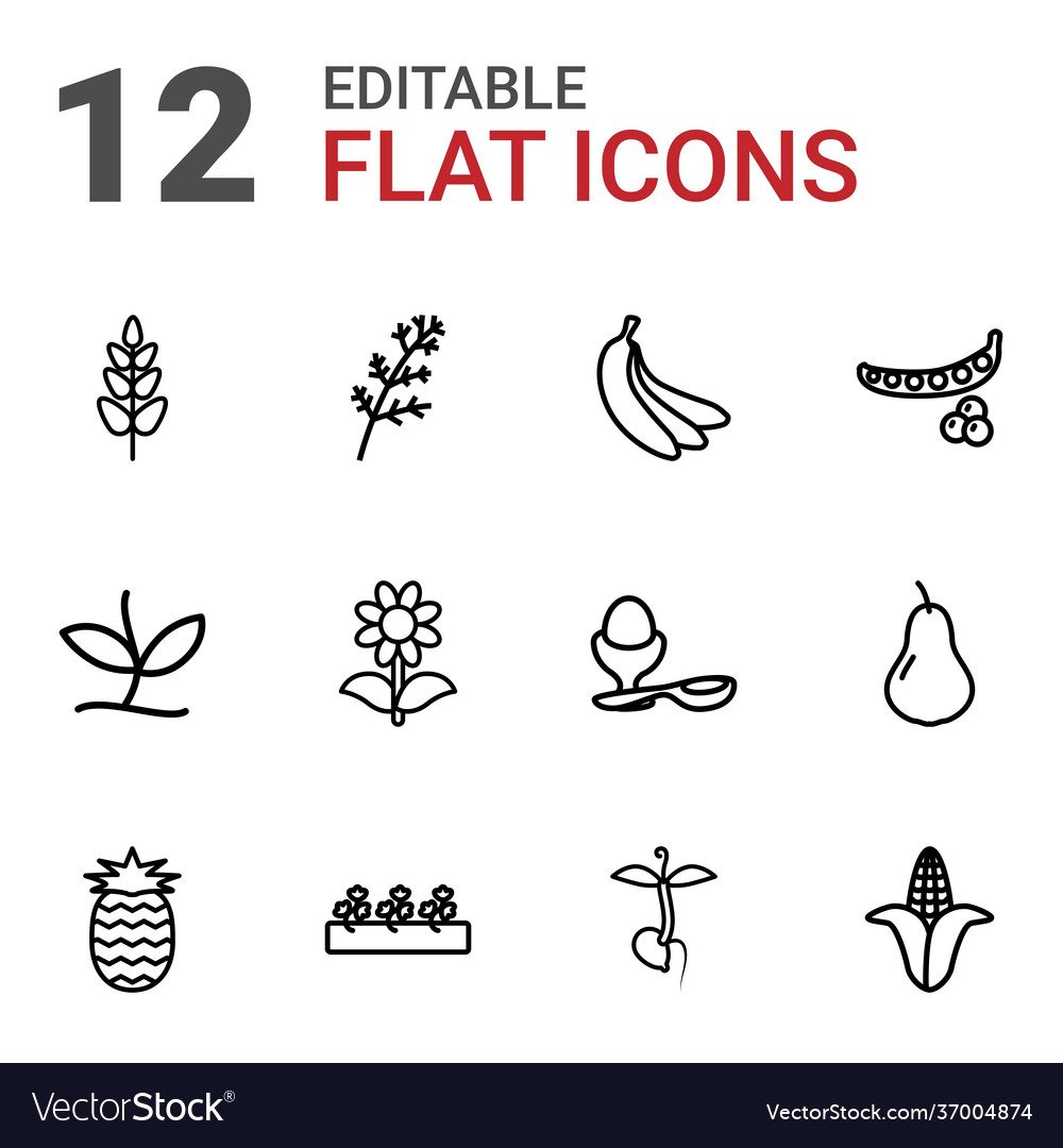 12 organic icons