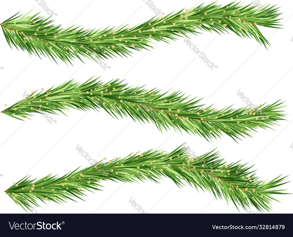 Christmas tree decorations fir branches design Vector Image