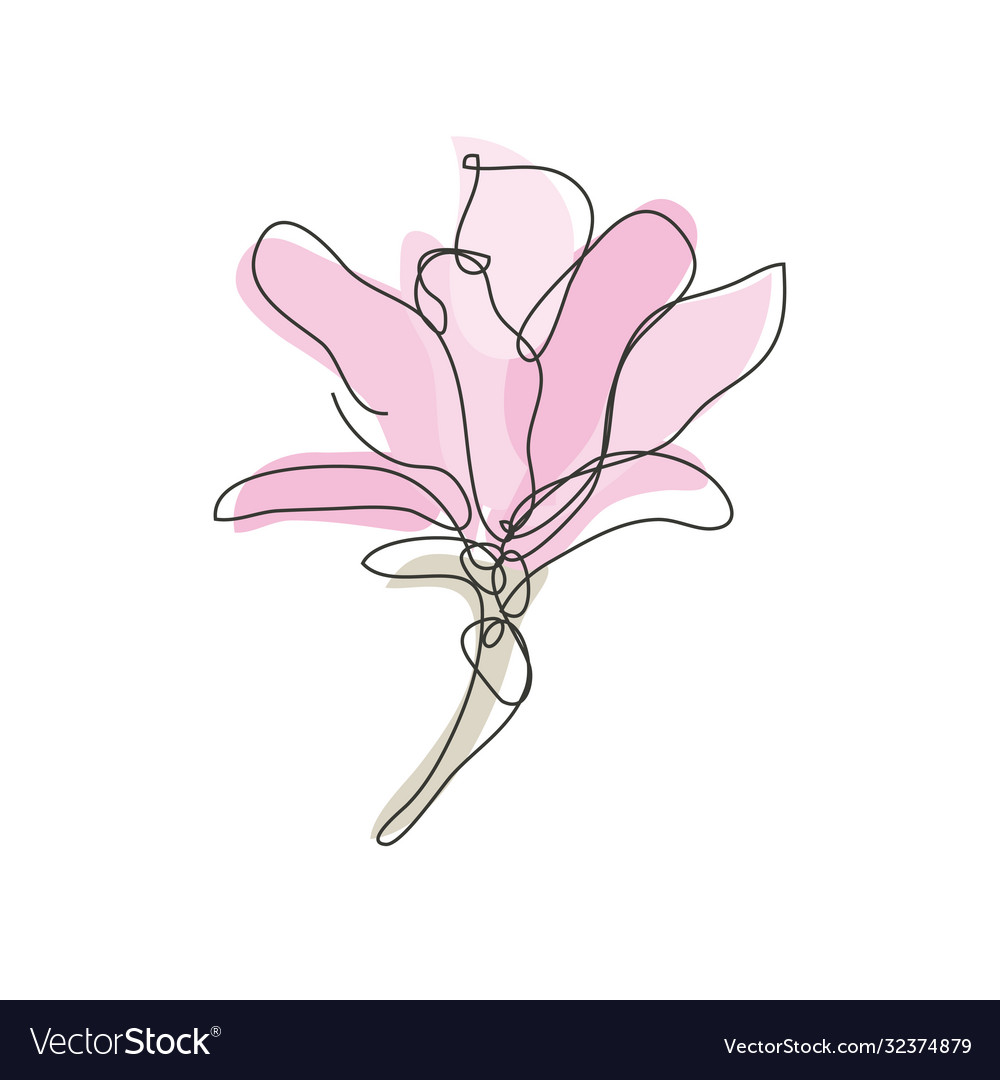 Decorative hand drawn magnolia flower design