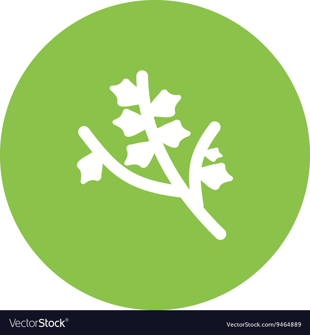 Branch Royalty Free Vector Image - VectorStock