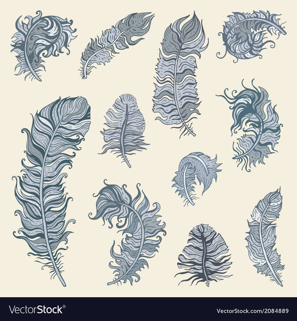 Feather set
