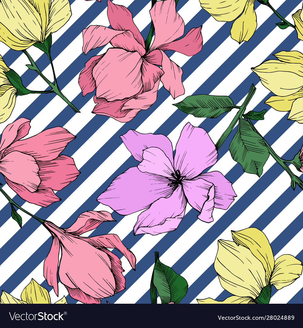 Magnolia floral botanical flowers black vector image Magnolia floral botanical flowers black