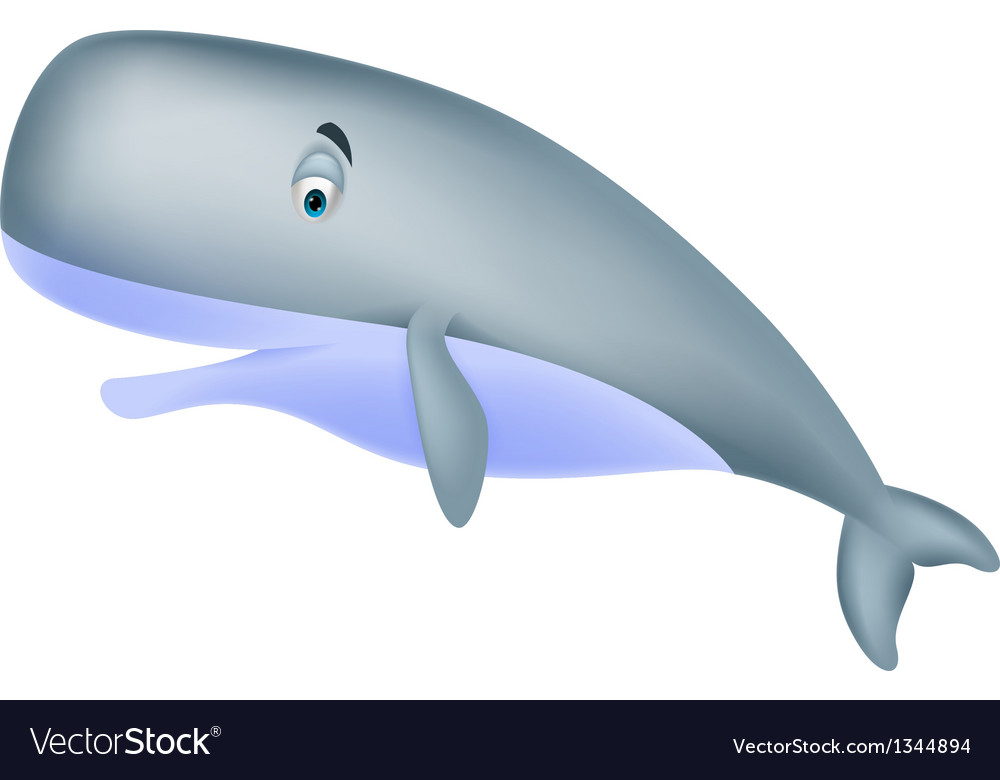 Cute sperm whale cartoon Royalty Free Vector Image