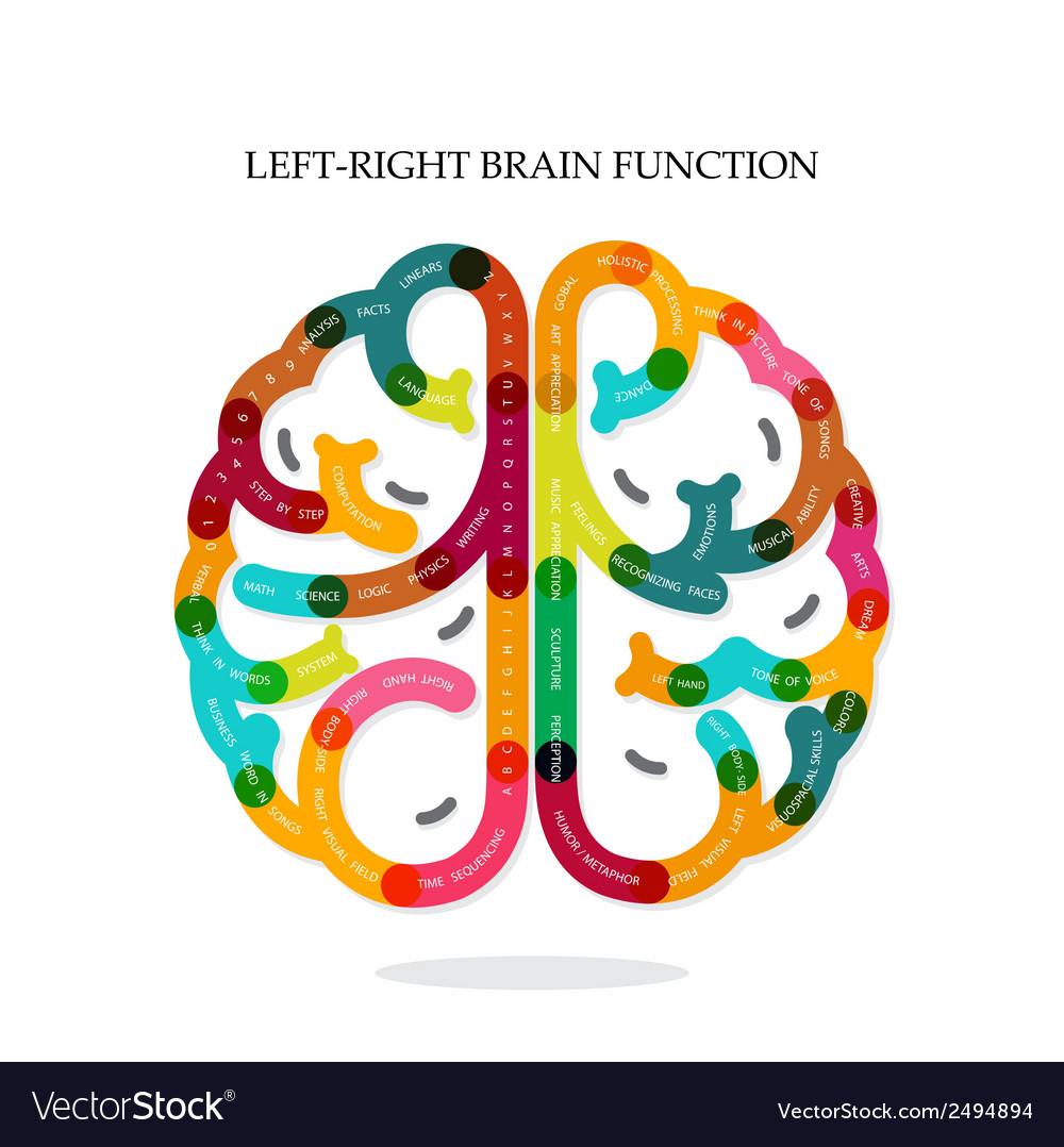 Left & Right Brain Function Infographic