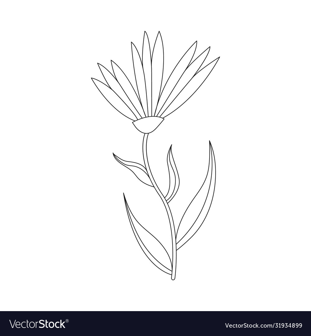 Flower for coloring books scrapbooking isolated