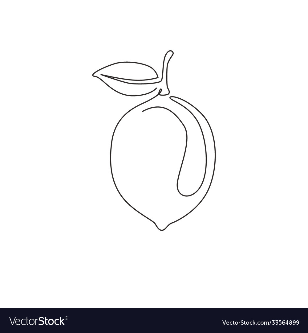 One single line drawing whole healthy organic Vector Image