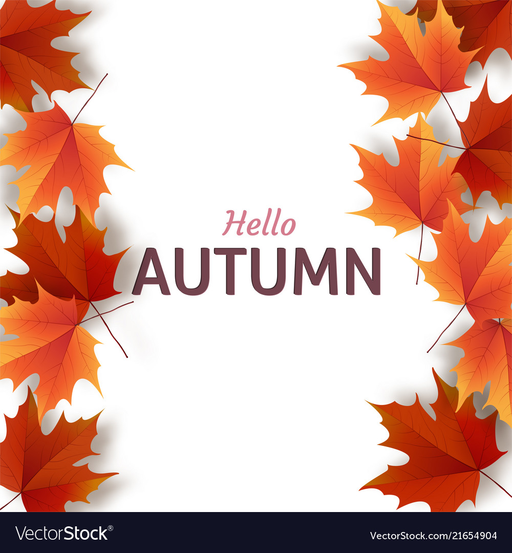 Autumn leaves bright colourful oak Royalty Free Vector Image