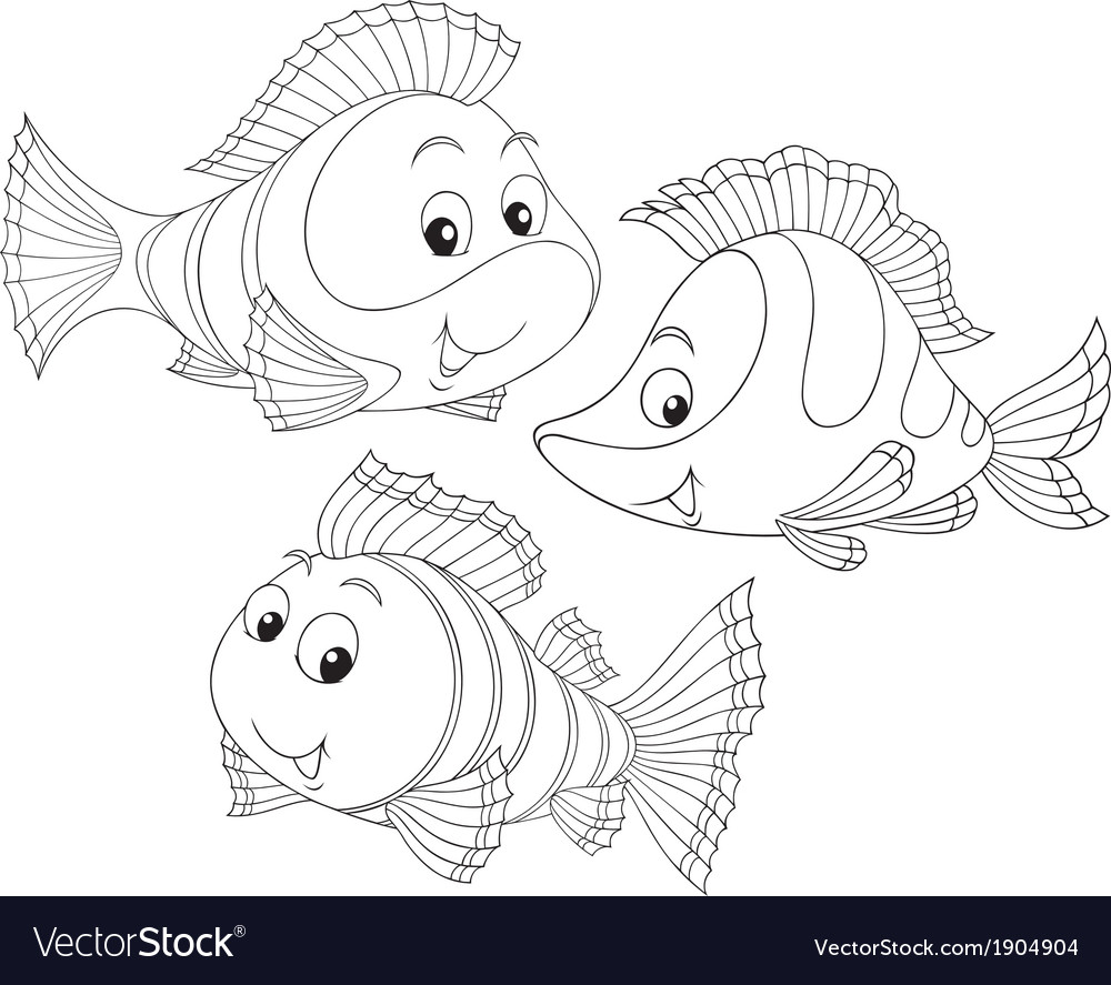 Coral fishes Royalty Free Vector Image - VectorStock