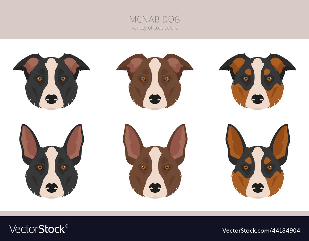 Mcnab dog clipart all coat colors set