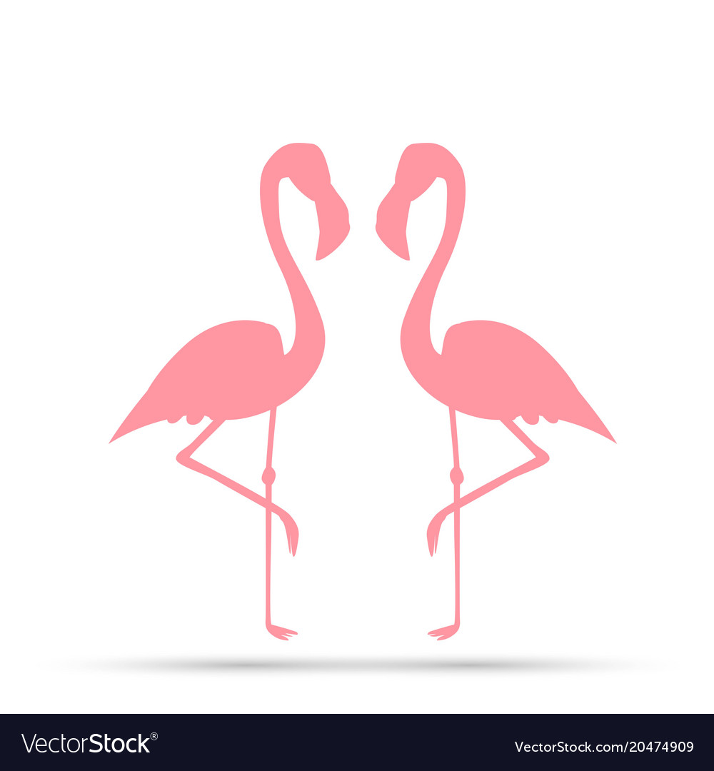 Pink Flamingo auf weißem Hintergrund