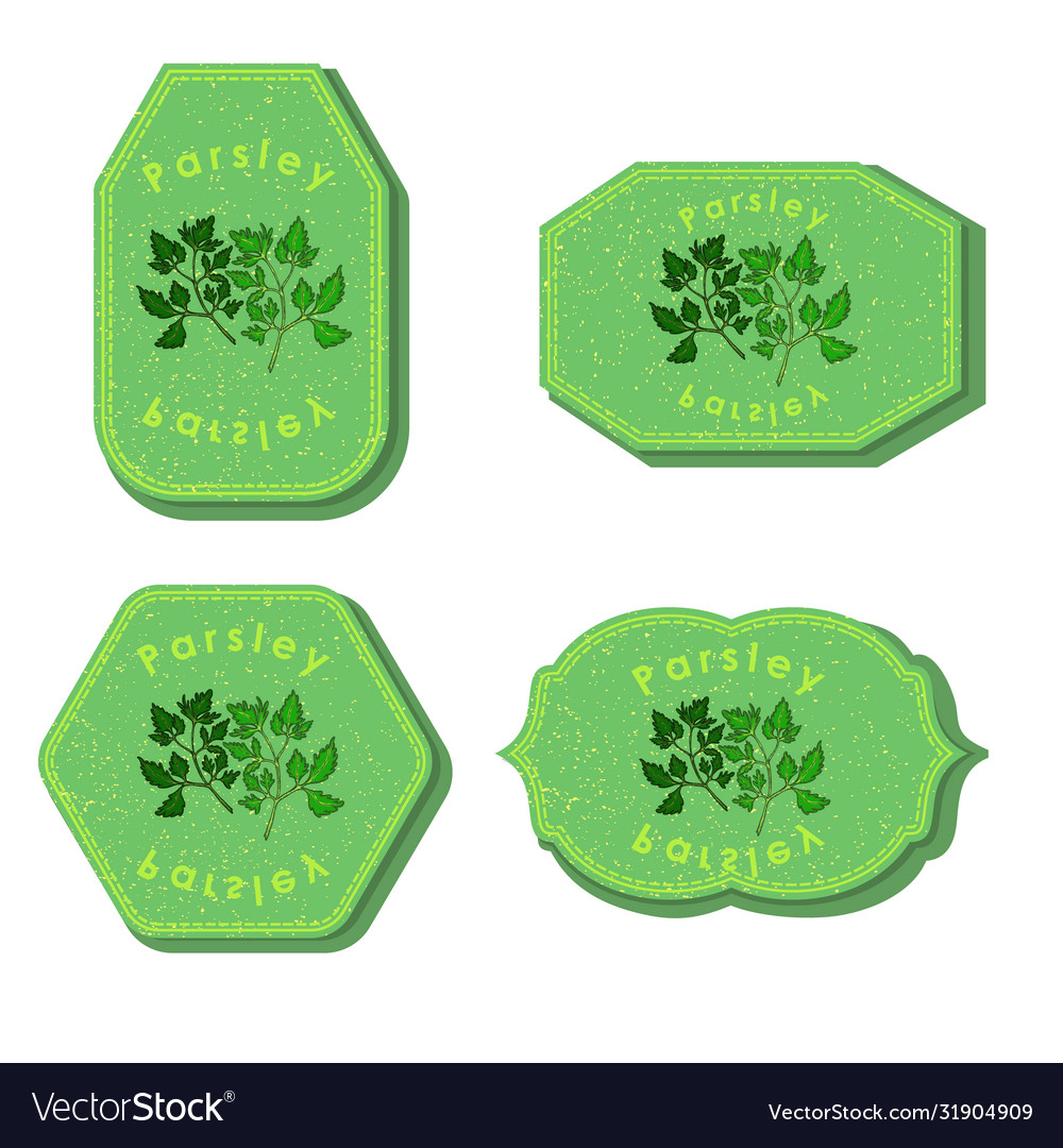 Set with four rectangular labels parsley vector image Set with four rectangular labels parsley