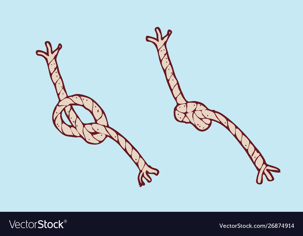 Digitally drawn rope knot design hand drawing Vector Image