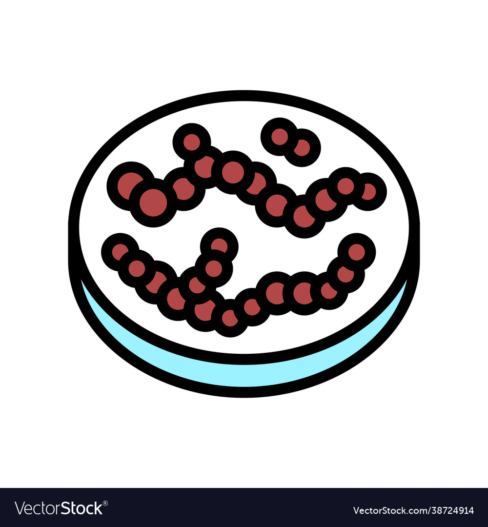 Streptococcus Bakterien Farbsymbol