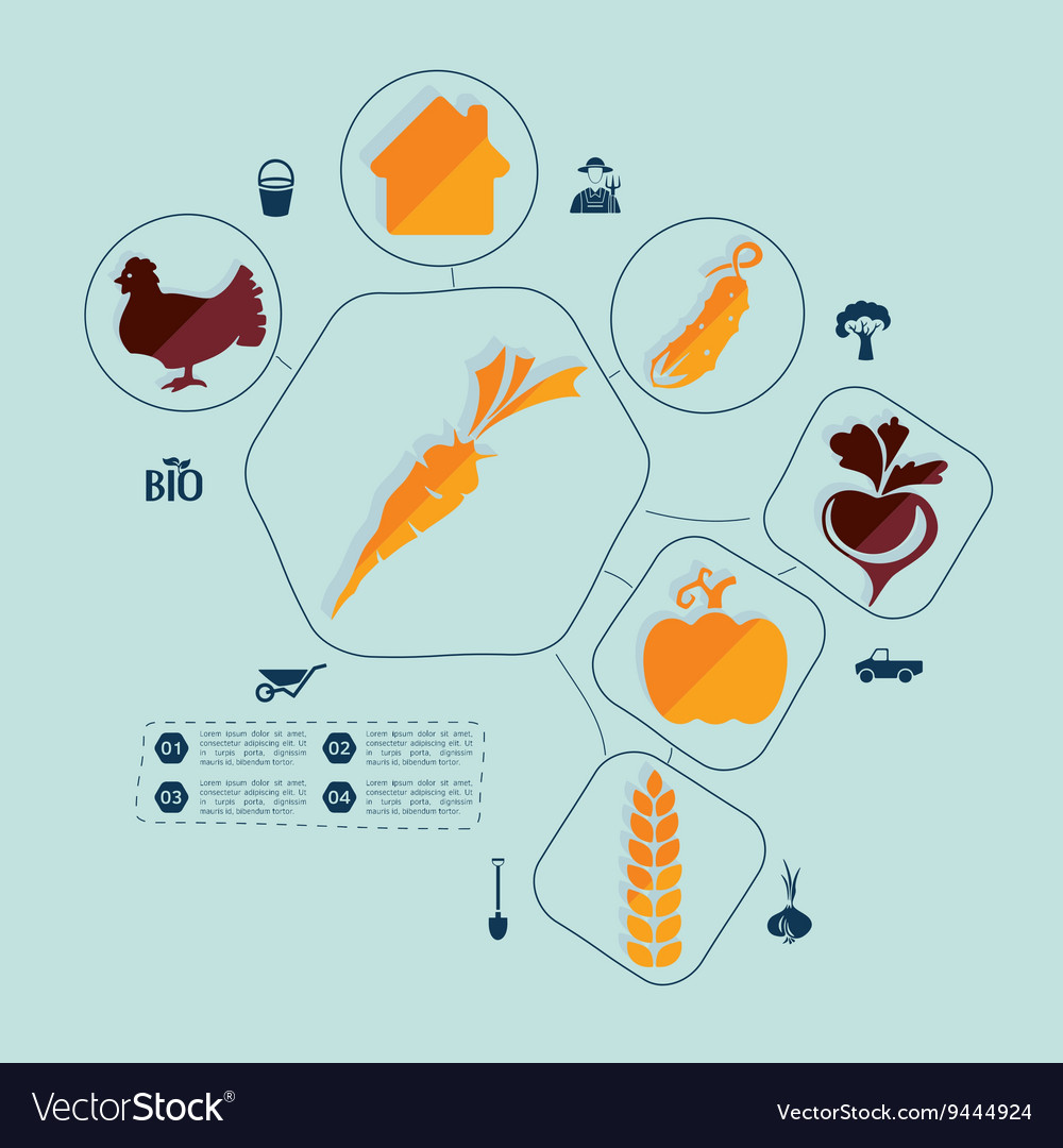 Agriculture flat infographic Royalty Free Vector Image