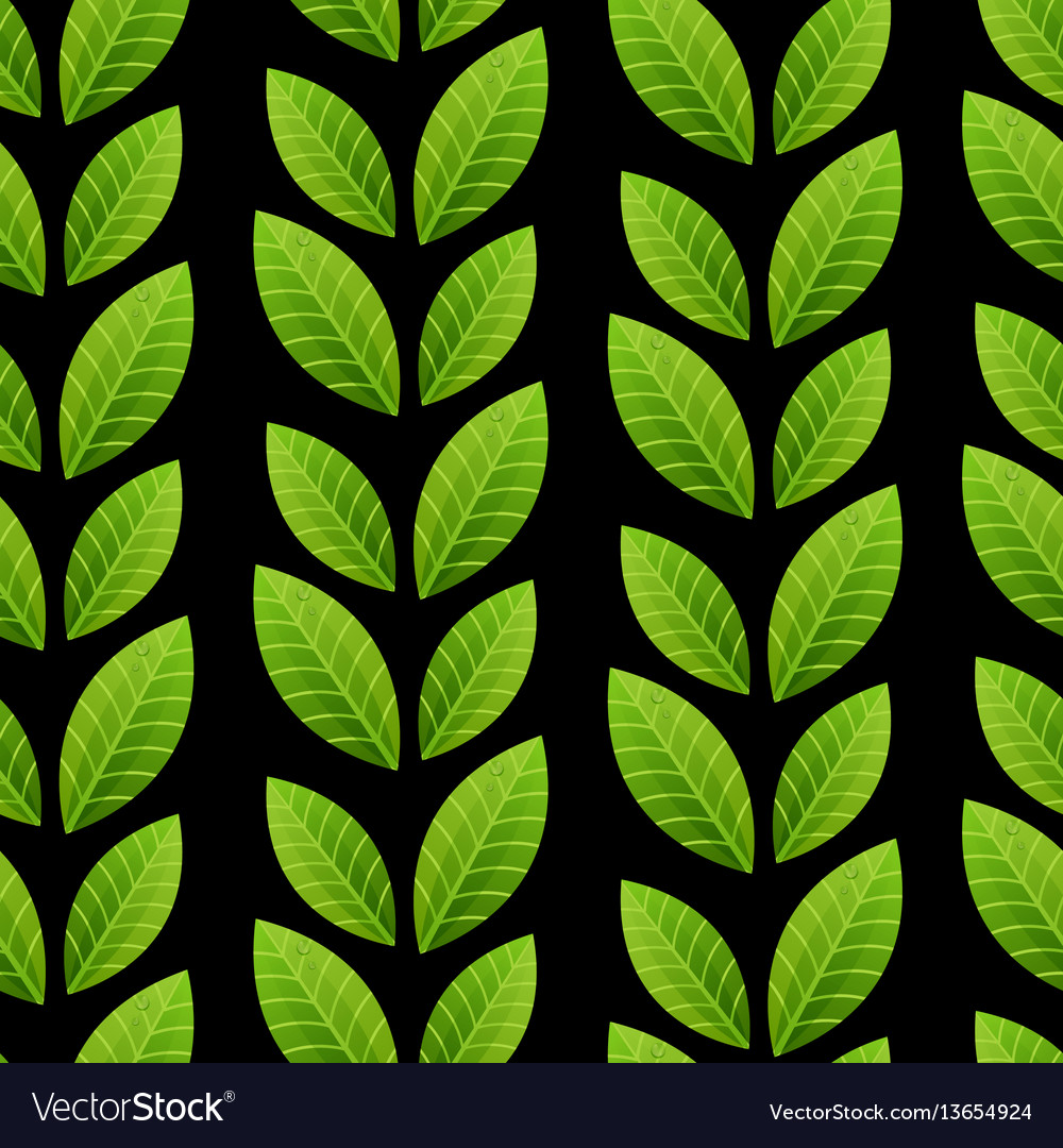 Green Leaves Seamless Pattern Royalty Free Vector Image