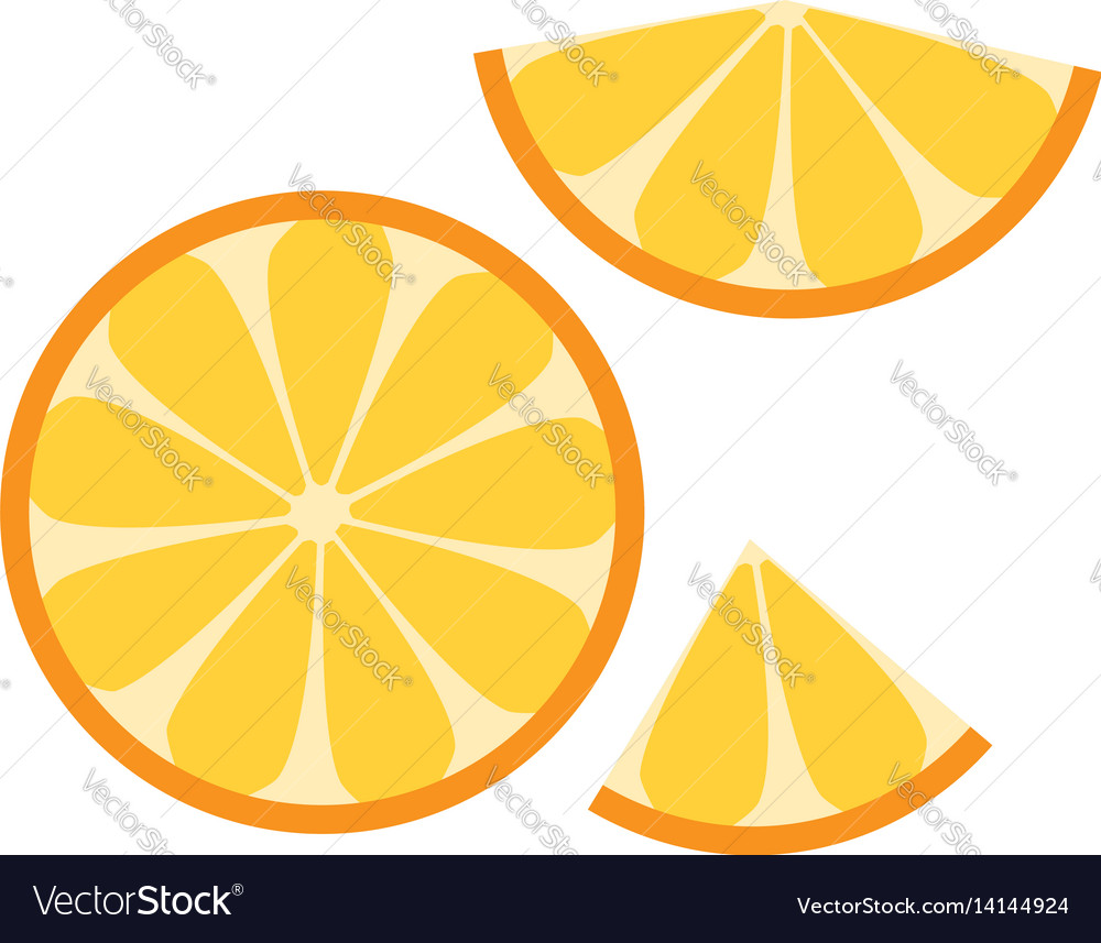 Orange slices Royalty Free Vector Image - VectorStock