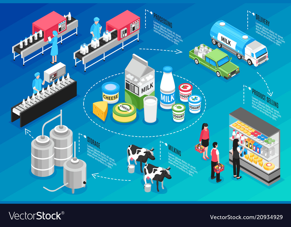 Milk production infographics Royalty Free Vector Image