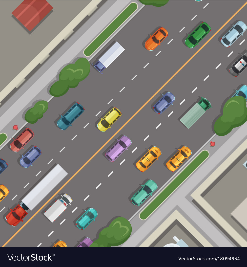 City Road With Cars Buildings Grass Royalty Free Vector